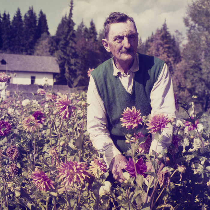 minerva_dn_1969_381_borsec_patka_007