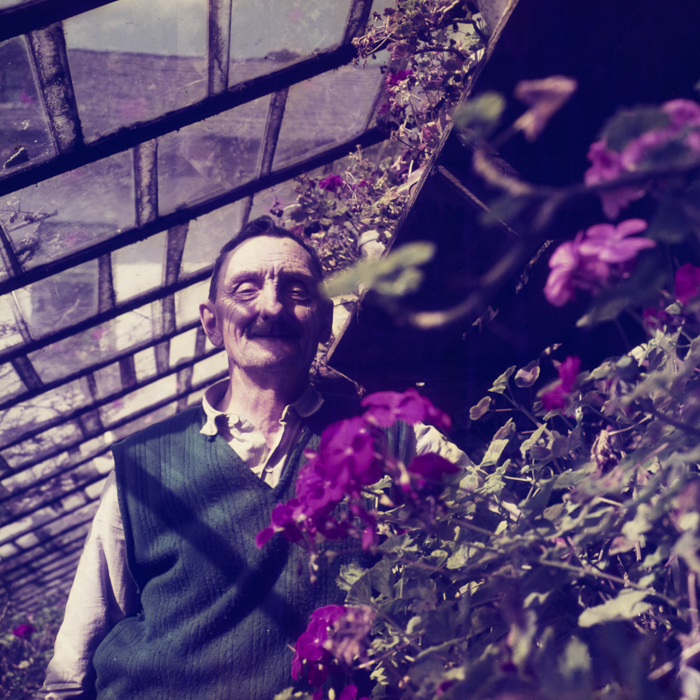 minerva_dn_1969_381_borsec_patka_012