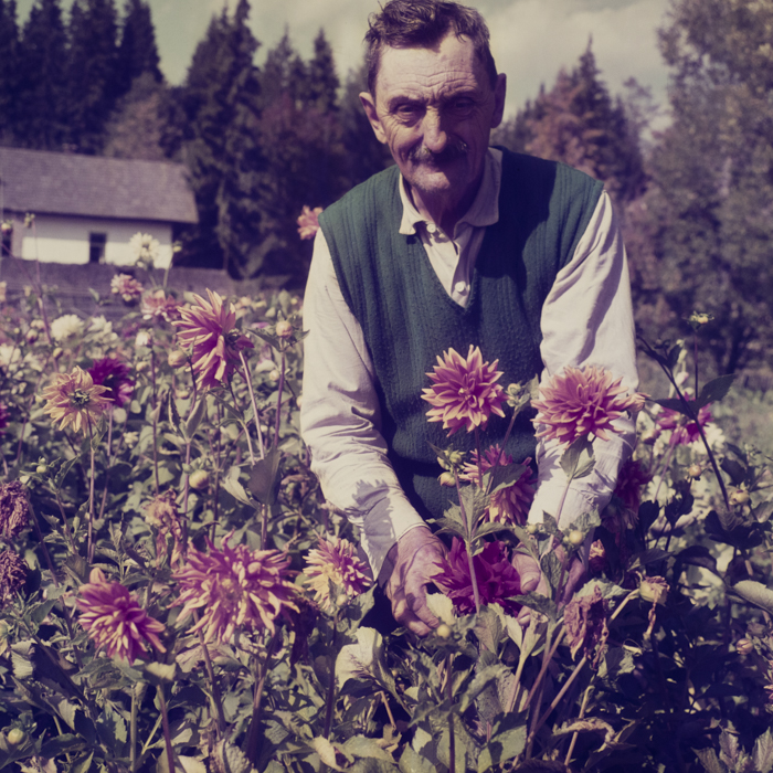 minerva_dn_1969_381_borsec_patka_015