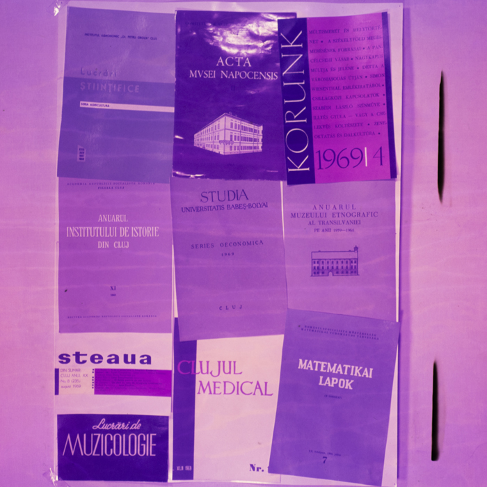 minerva_dn_1969_382_reproduceri_poligrafie_001