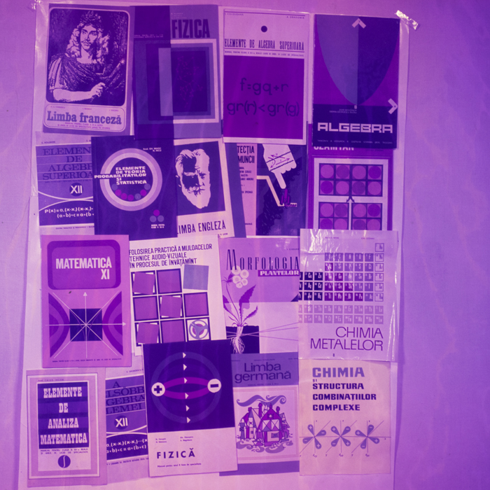 minerva_dn_1969_382_reproduceri_poligrafie_002