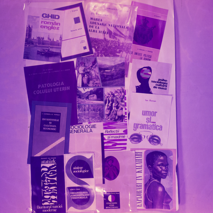 minerva_dn_1969_382_reproduceri_poligrafie_004