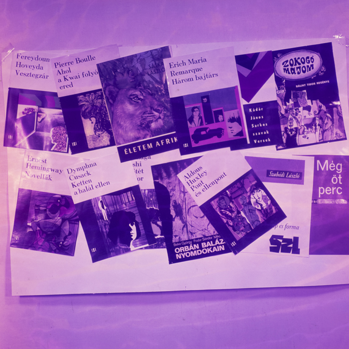 minerva_dn_1969_382_reproduceri_poligrafie_005