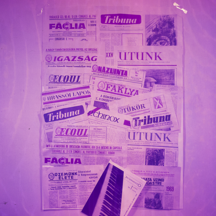 minerva_dn_1969_382_reproduceri_poligrafie_006