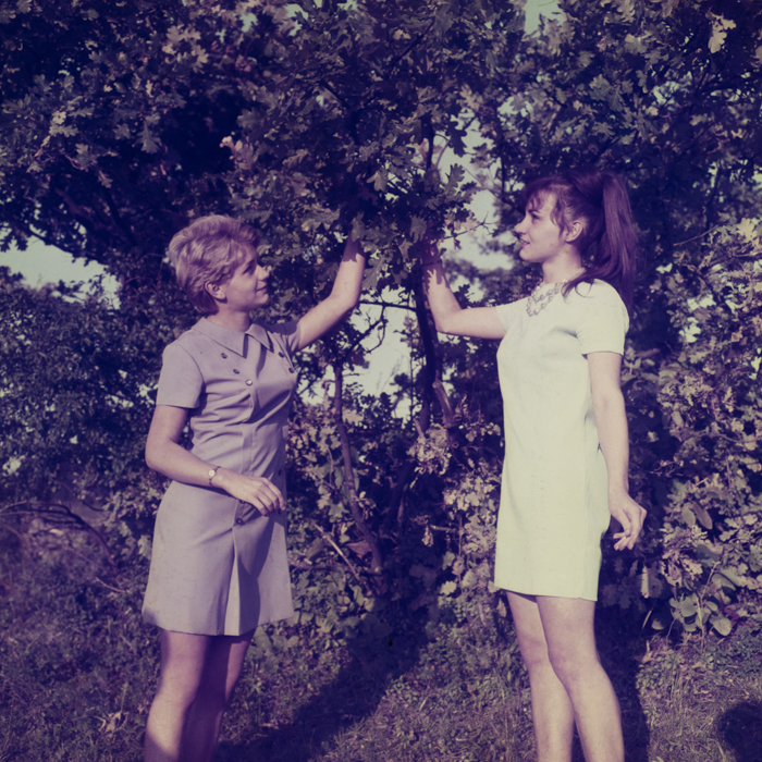 minerva_dn_1969_384_o.a.s_cluj_003