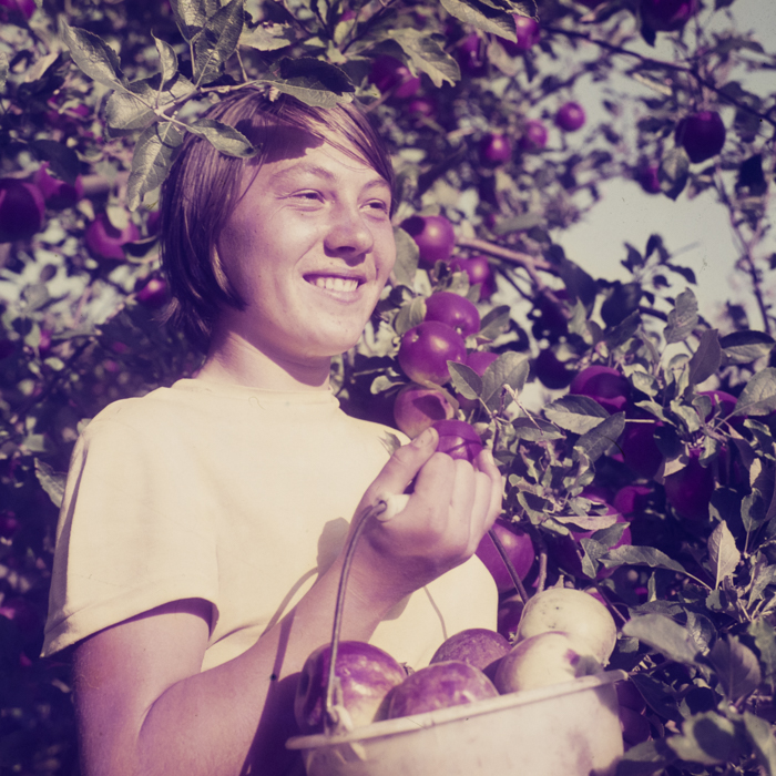 minerva_dn_1969_386_cules_de_mere_0059