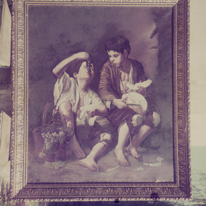 minerva_dn_1969_387_reproduceri_008