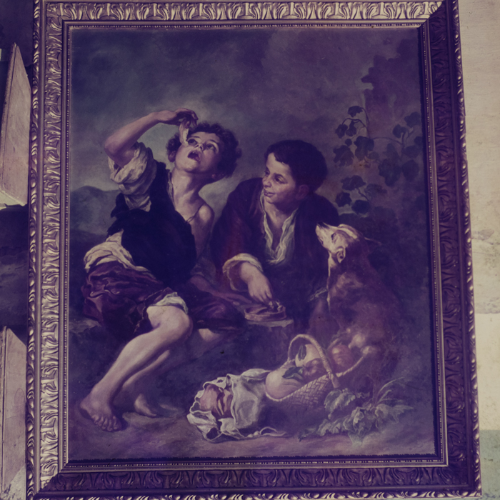 minerva_dn_1969_387_reproduceri_009