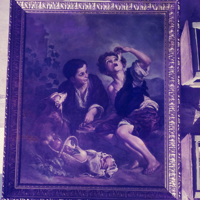 minerva_dn_1969_387_reproduceri_010