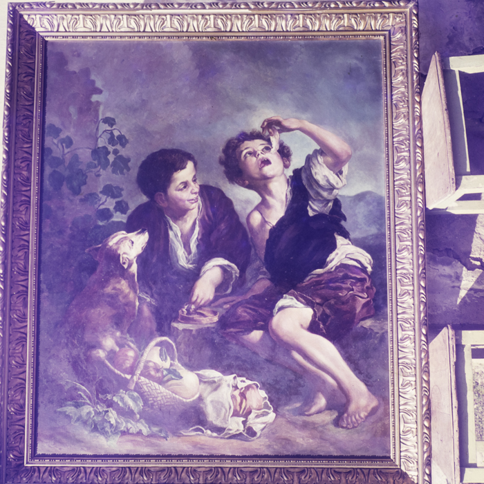 minerva_dn_1969_387_reproduceri_011