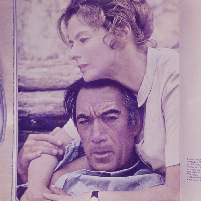 minerva_dn_1969_390_reproduceri_010