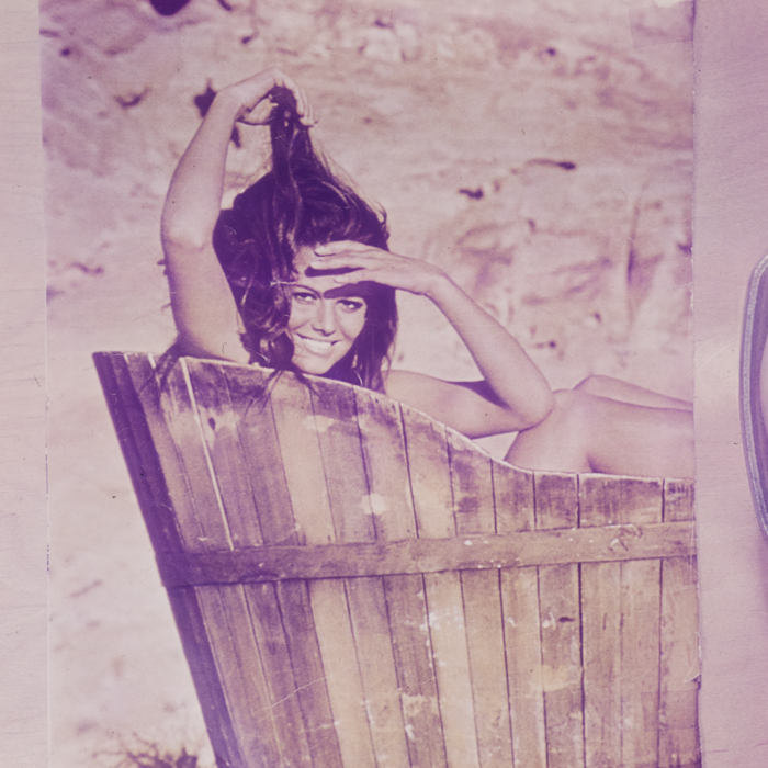 minerva_dn_1969_390_reproduceri_012