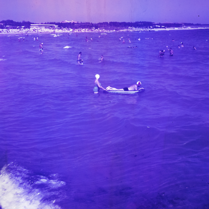 minerva_dn_1969_401_reproduceri_arta_litoral_004