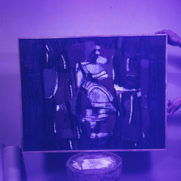 minerva_dn_1969_401_reproduceri_arta_litoral_012