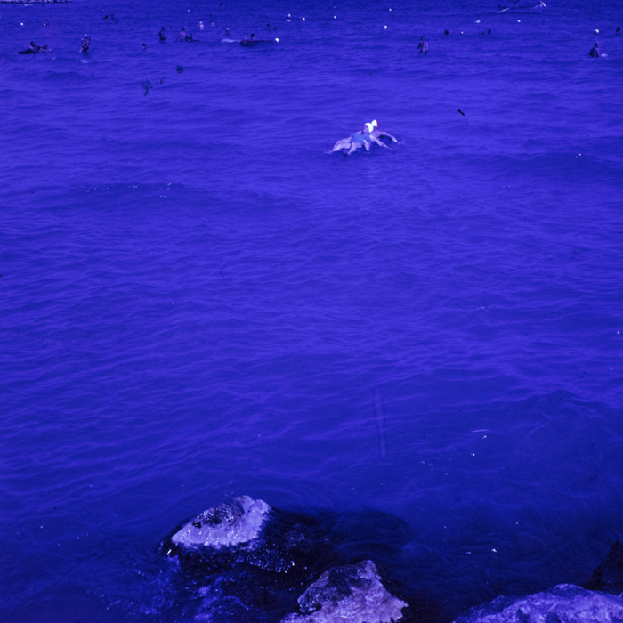 minerva_dn_1969_401_reproduceri_arta_litoral_016