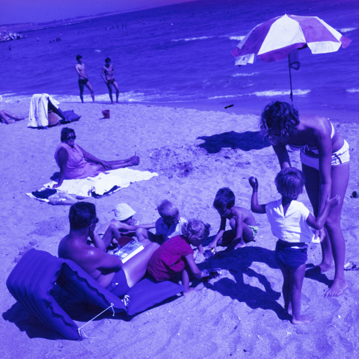 minerva_dn_1969_401_reproduceri_arta_litoral_017