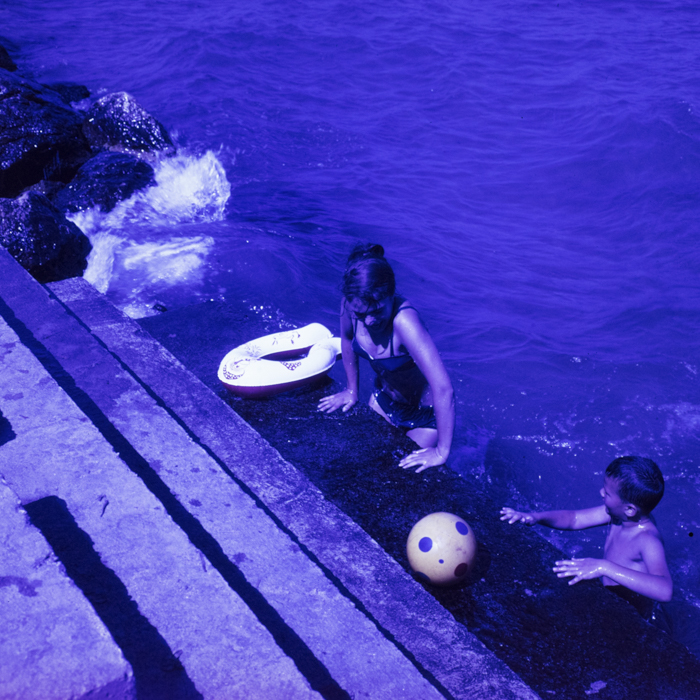 minerva_dn_1969_401_reproduceri_arta_litoral_019