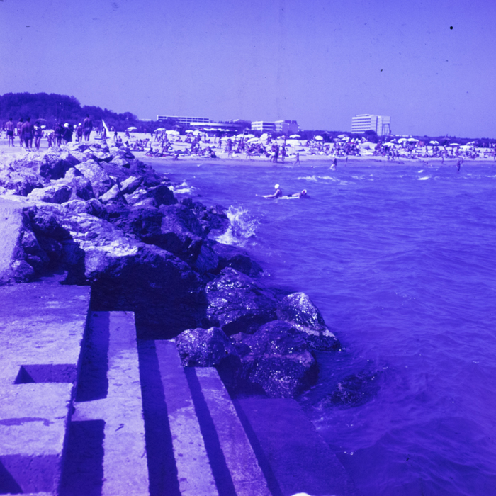 minerva_dn_1969_401_reproduceri_arta_litoral_022