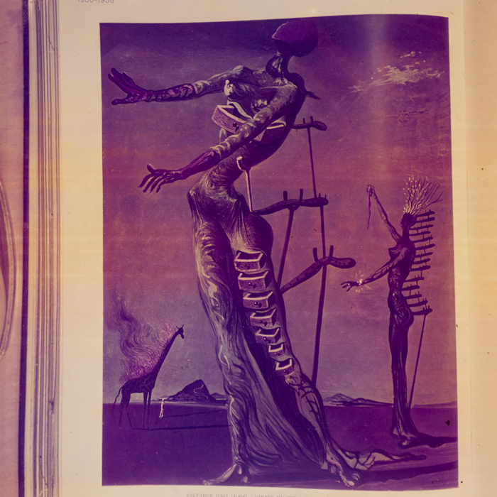 minerva_dn_1970_404_reproduceri_009