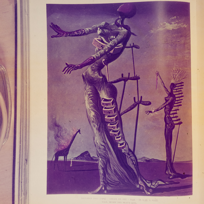 minerva_dn_1970_404_reproduceri_010