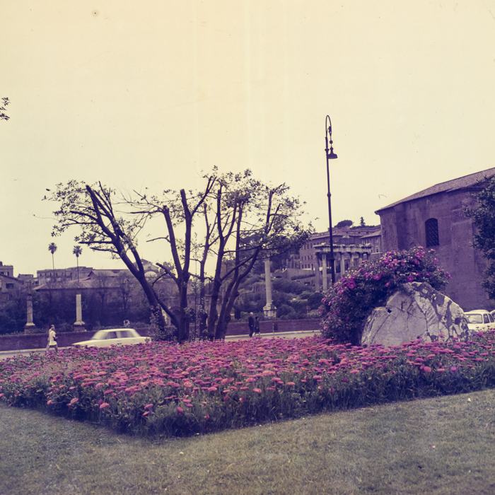 minerva_dn_1970_412_roma_010