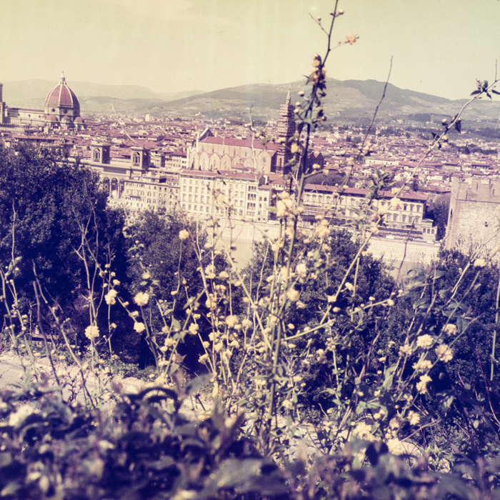 minerva_dn_1970_413_florenta_005