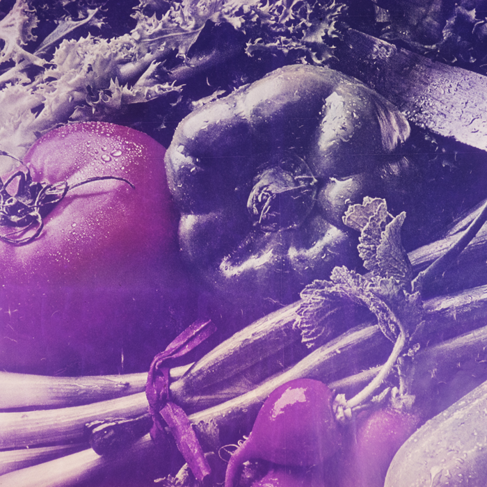 minerva_dn_1970_419_reproduceri_004