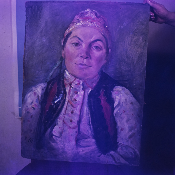 minerva_dn_1970_419_reproduceri_005