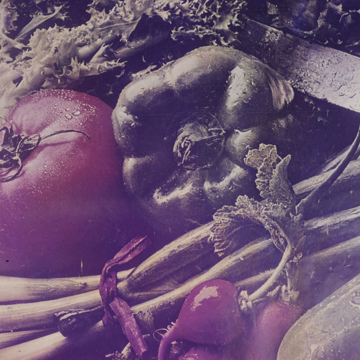 minerva_dn_1970_419_reproduceri_011