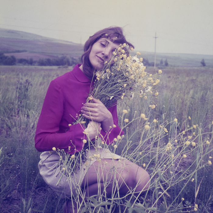 minerva_dn_1970_423_flori_rodica_trandafiri_005