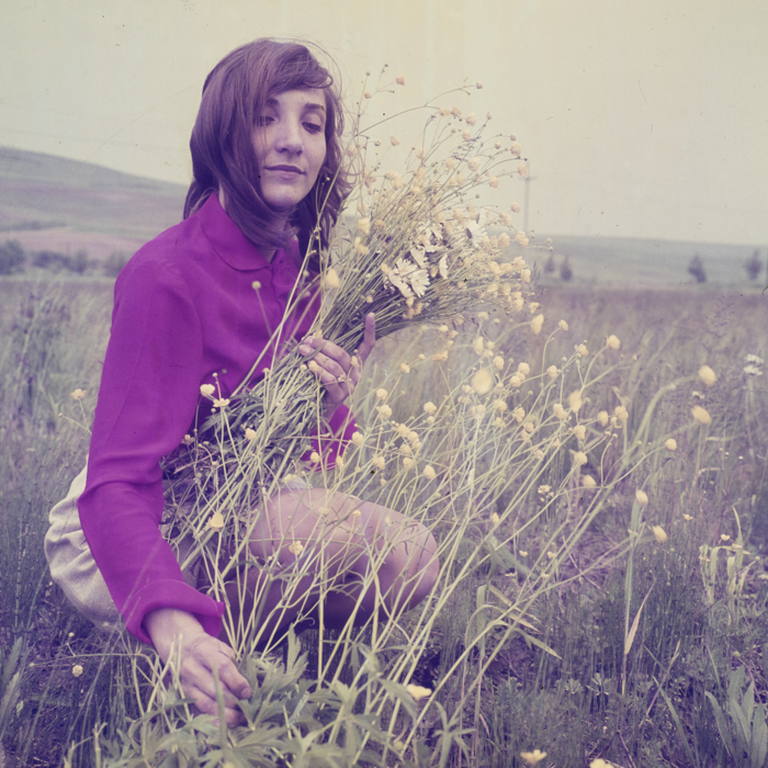 minerva_dn_1970_423_flori_rodica_trandafiri_009