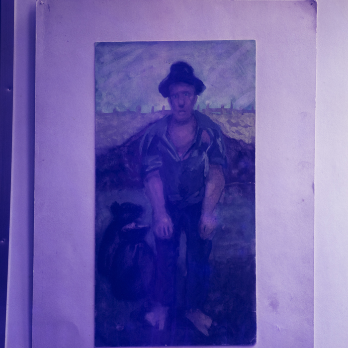 minerva_dn_1971_472_reproduceri_l.alex_003