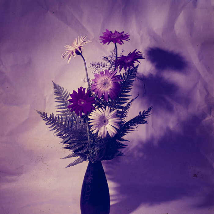 minerva_dn_1971_475_flori_palocsai_001