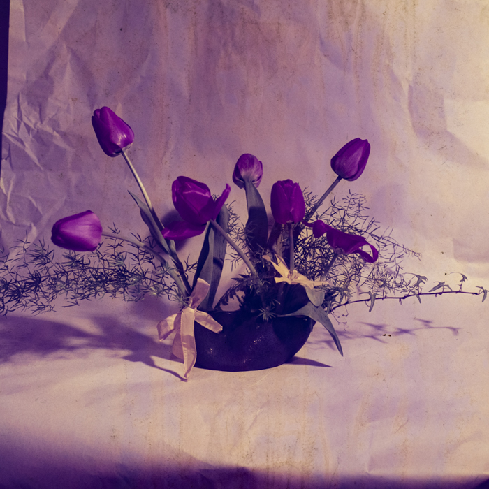 minerva_dn_1971_475_flori_palocsai_002