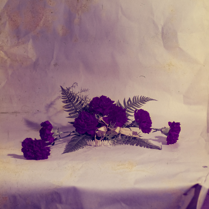 minerva_dn_1971_475_flori_palocsai_003