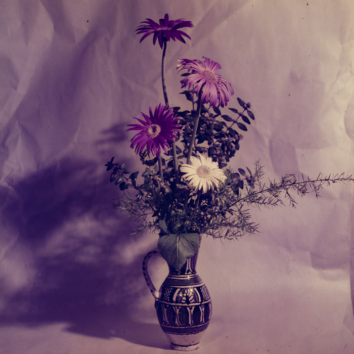 minerva_dn_1971_475_flori_palocsai_004