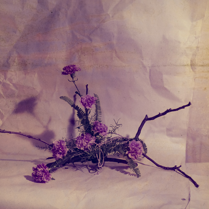 minerva_dn_1971_475_flori_palocsai_005