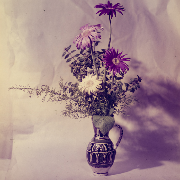 minerva_dn_1971_475_flori_palocsai_006