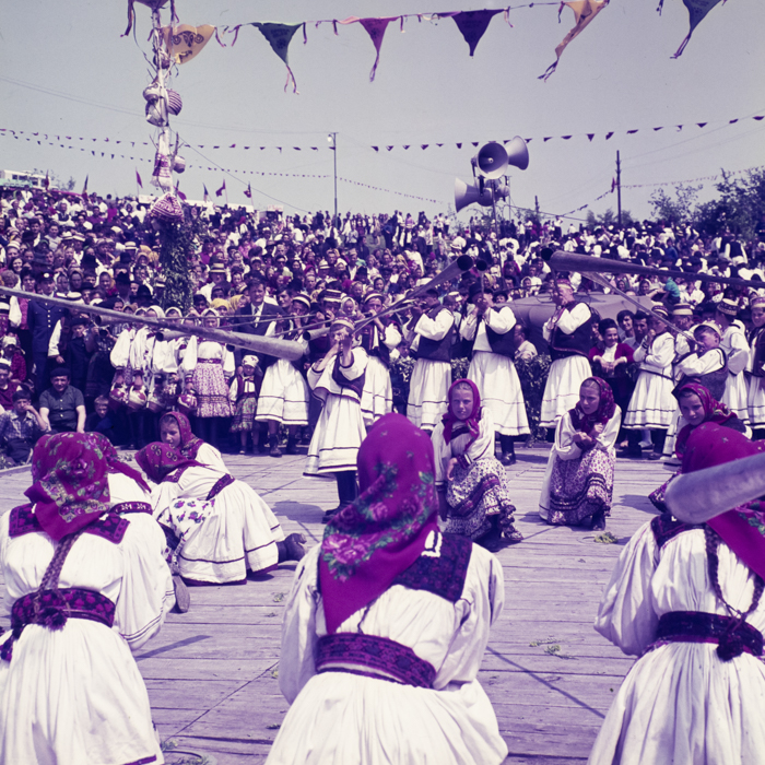 minerva_dn_1971_480_samba_oilor_002