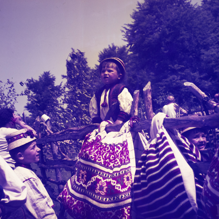 minerva_dn_1971_480_samba_oilor_003