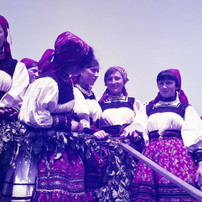 minerva_dn_1971_480_samba_oilor_007