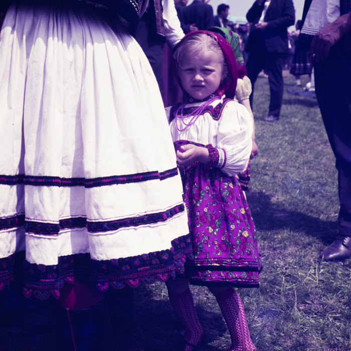 minerva_dn_1971_480_samba_oilor_009