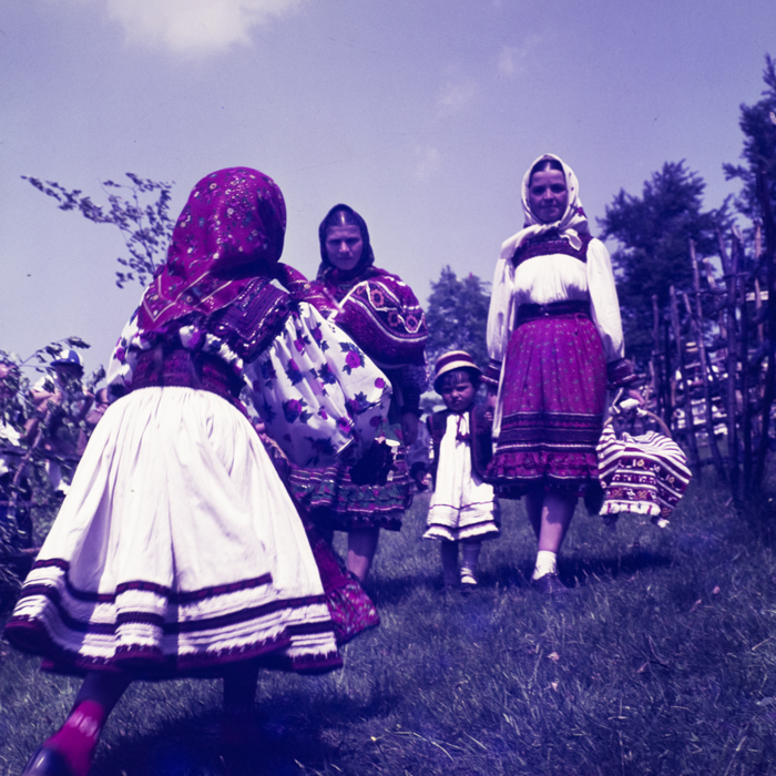 minerva_dn_1971_480_samba_oilor_011