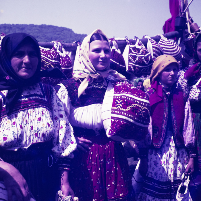 minerva_dn_1971_480_samba_oilor_014