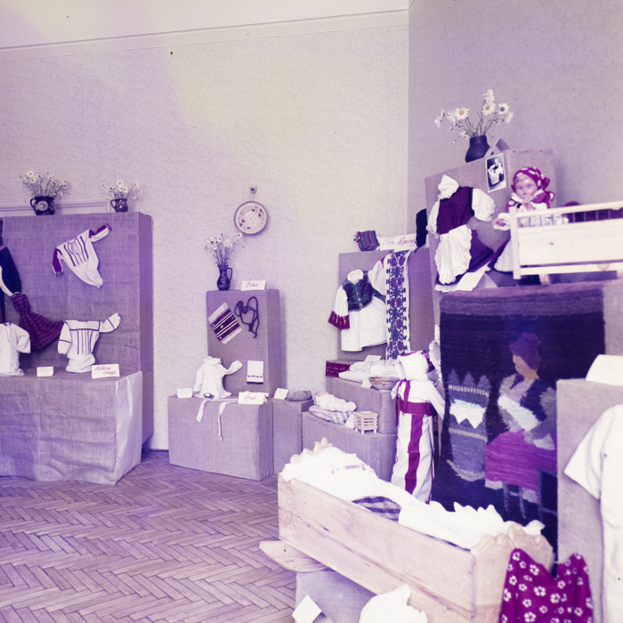 minerva_dn_1971_497_expozitie_redactie_003