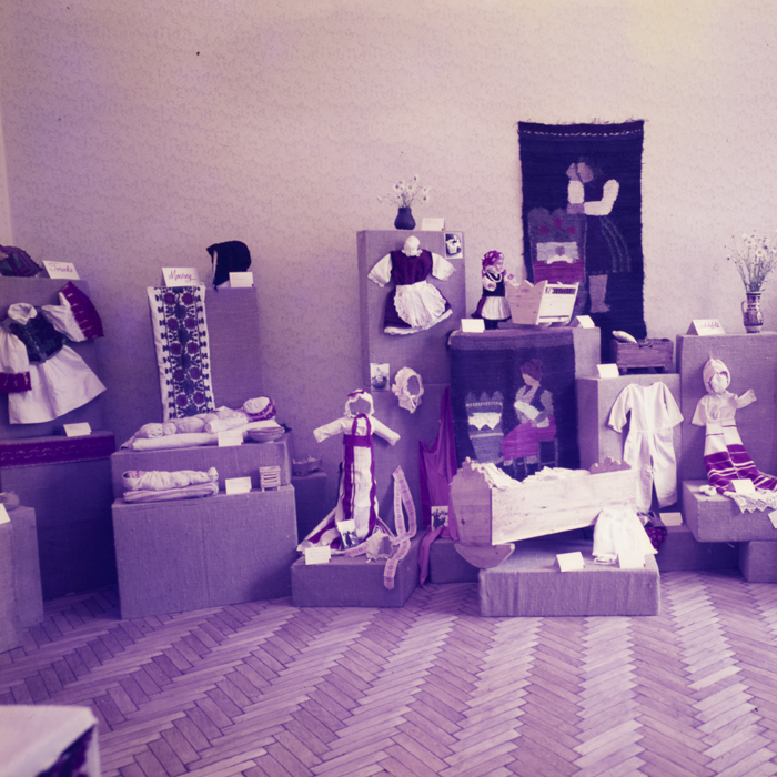 minerva_dn_1971_497_expozitie_redactie_008