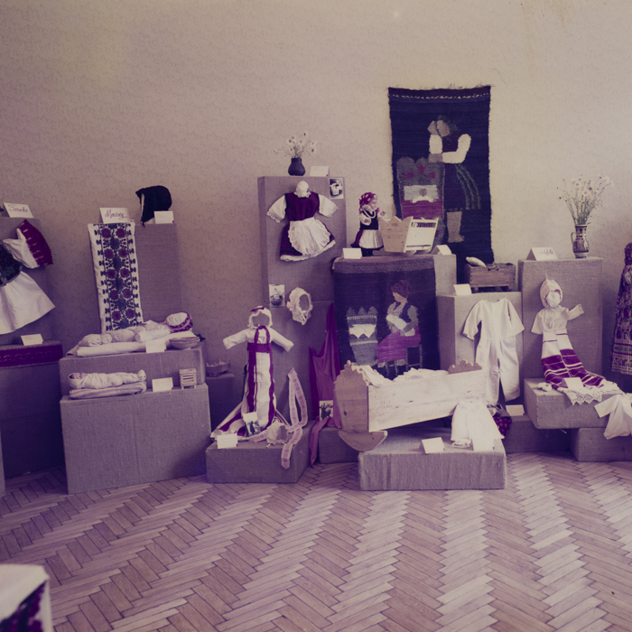 minerva_dn_1971_497_expozitie_redactie_017