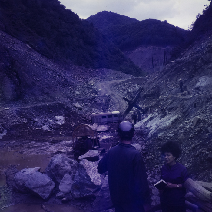 minerva_dn_1971_506_reproducere_tarnita_0002