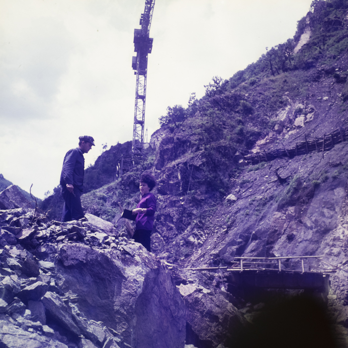 minerva_dn_1971_506_reproducere_tarnita_0003