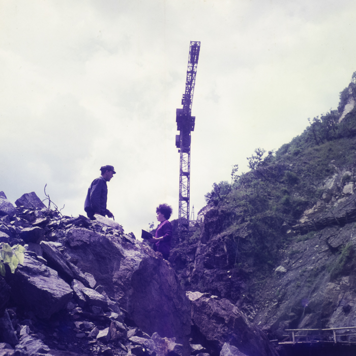 minerva_dn_1971_506_reproducere_tarnita_0004